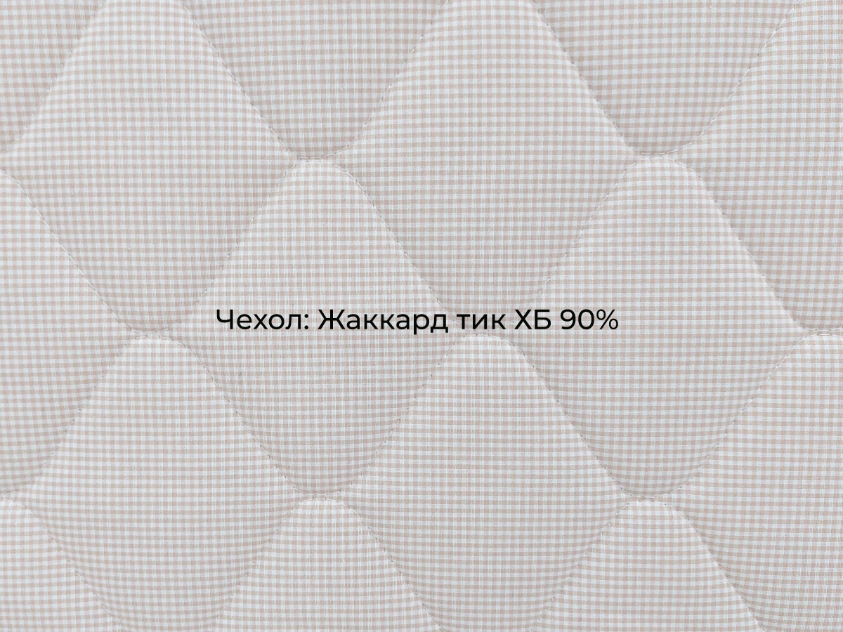 Фаворит Кидди